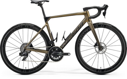 Bici corsa merida scultura - bici,